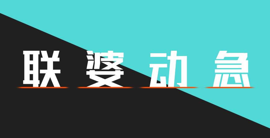 联盟起艺卢帅正锐黑体 字体特点