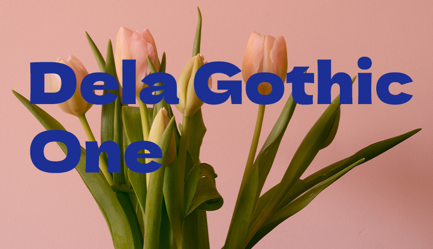 德拉黑体 Dela Gothic One 字体展示
