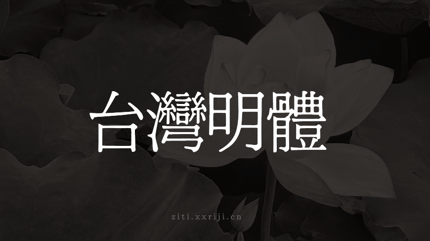 台湾明体 字体展示