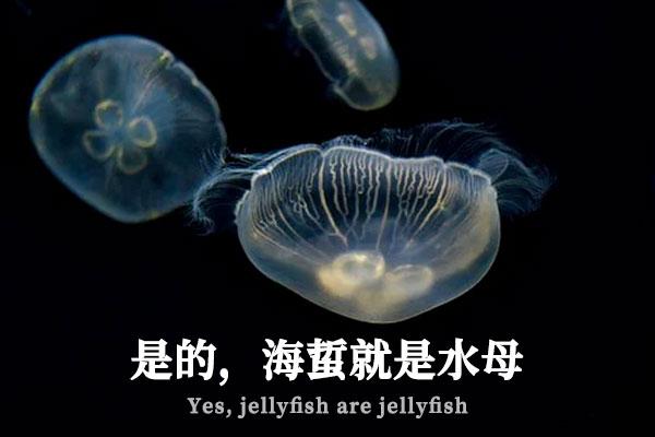 极影毁片辉宋 字体特点