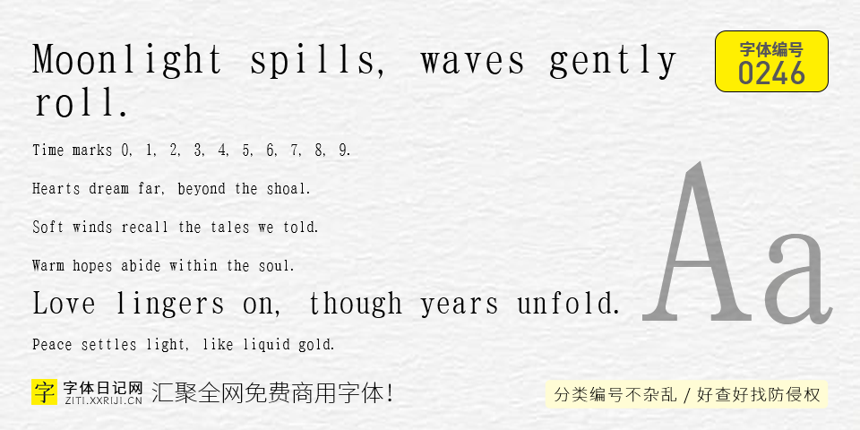 T明朝 GT01 字体案例 2