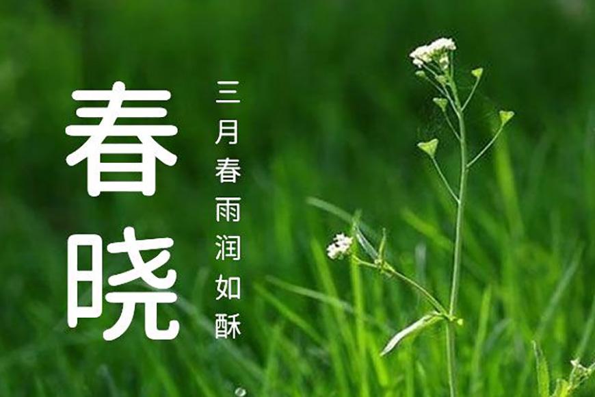 资源圆体 字体案例 2