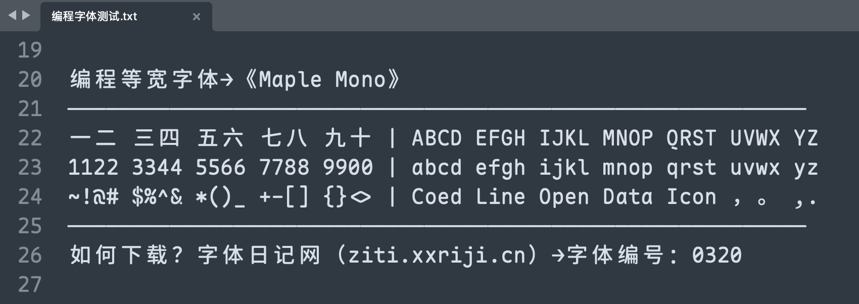 MapleMono 字体案例 1