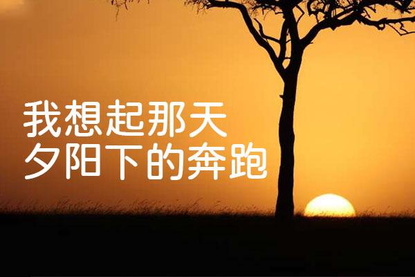 极影毁片圆 字体特点