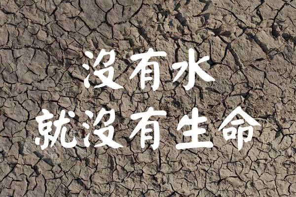 刻石录颜体 字体展示