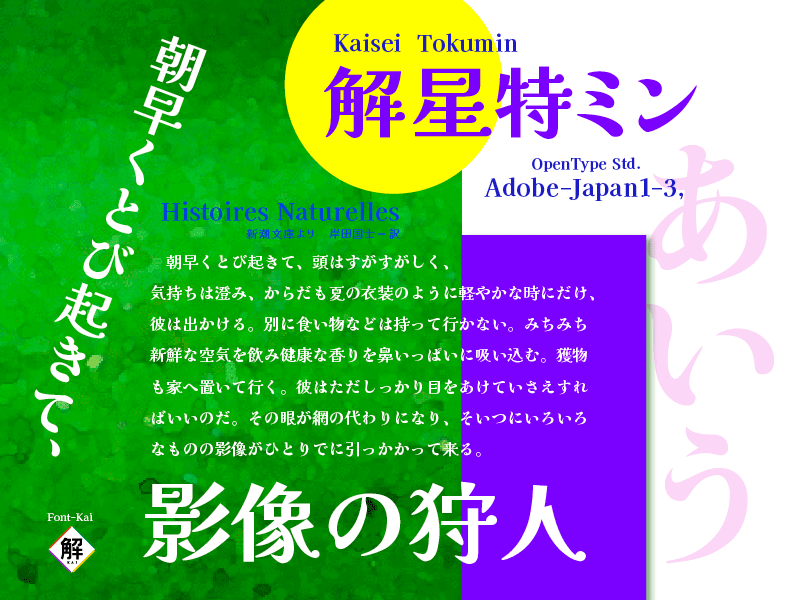 解星 字体展示