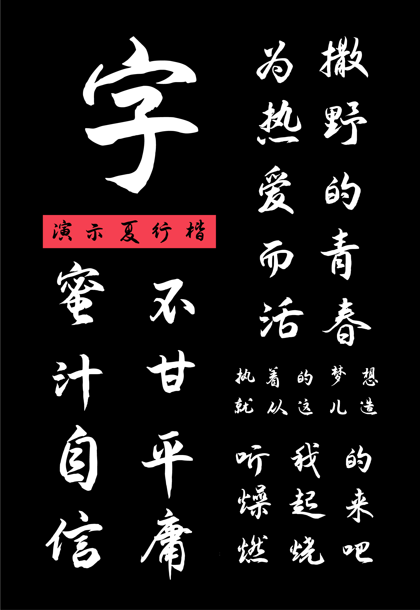 演示夏行楷 字体案例 4