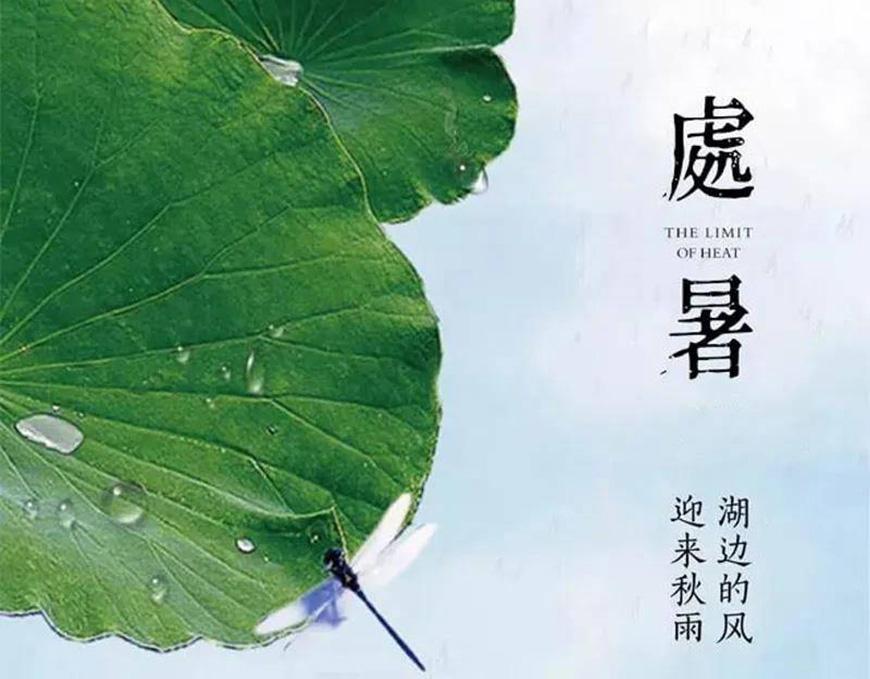 黄令东齐伋体 字体案例 1