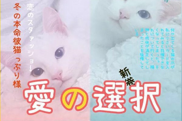 日本濑户可爱风 字体案例 3