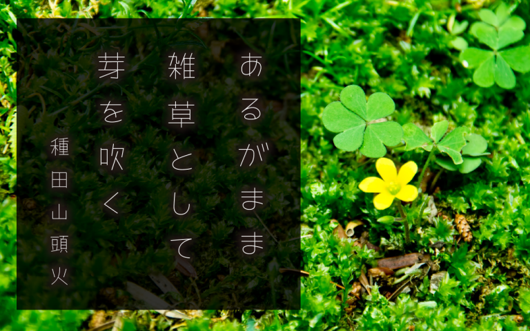 Tanugo手写体 字体特点