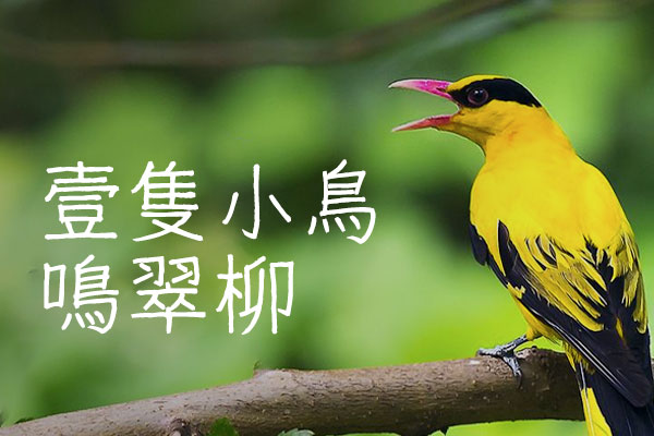 细鸣字体 字体展示