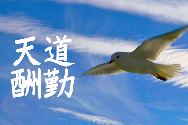 YOz毛笔体 字体展示