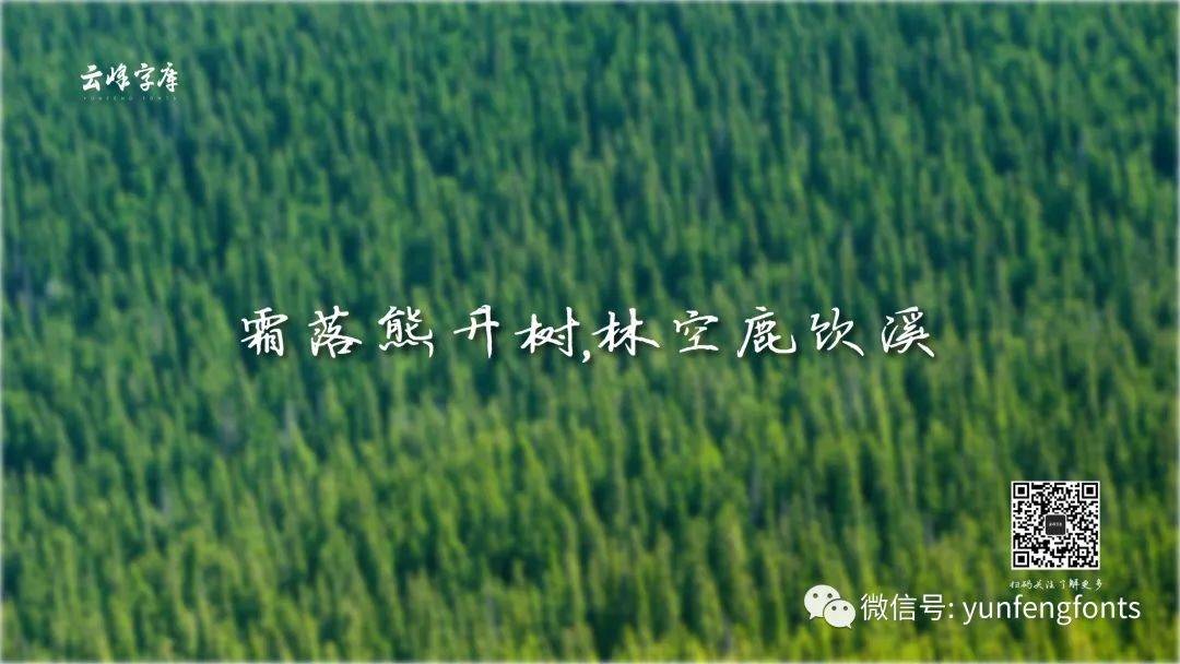 云峰寒蝉体 字体案例 1