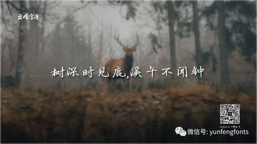 云峰寒蝉体 字体案例 3