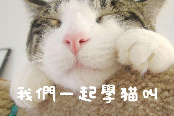 日系豆豆体 字体特点