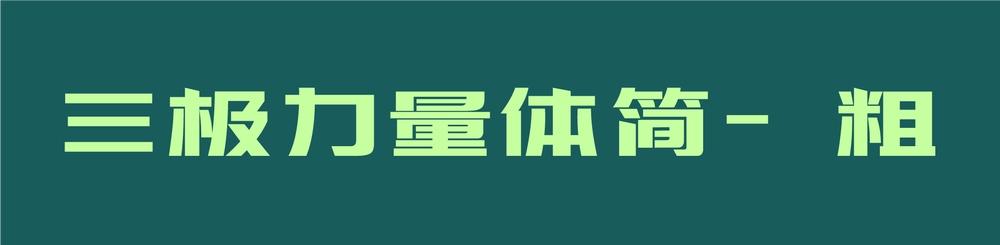 三极力量体简-粗 字体案例 1