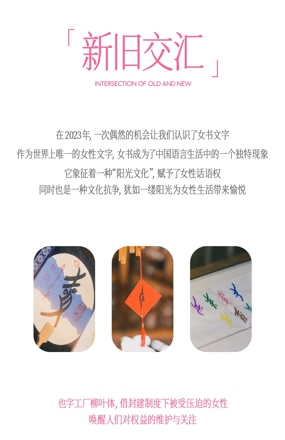 也字工厂柳叶体 字体案例 4