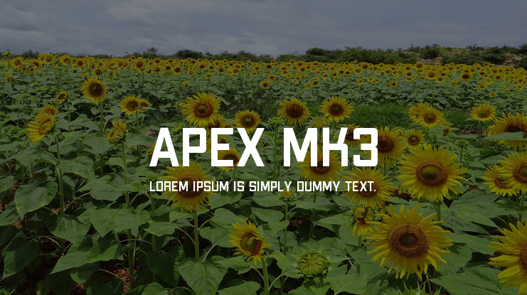 Apex Mk3 字体案例 3