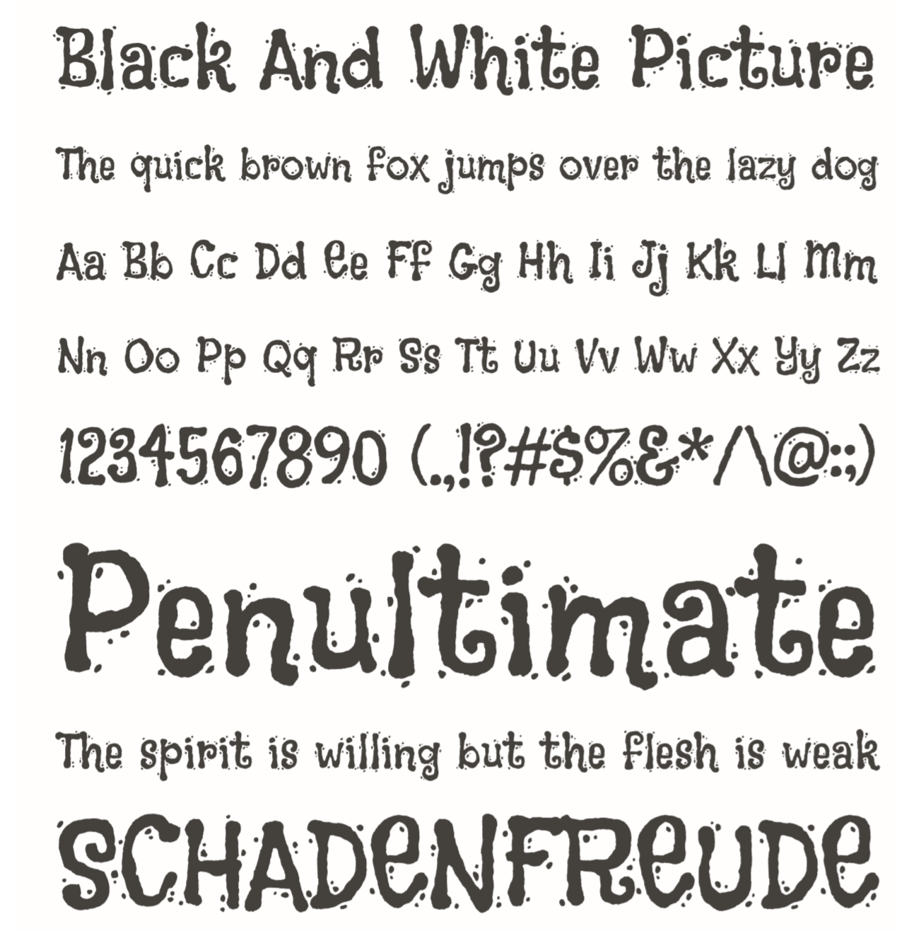 Black And White Picture 字体案例 2